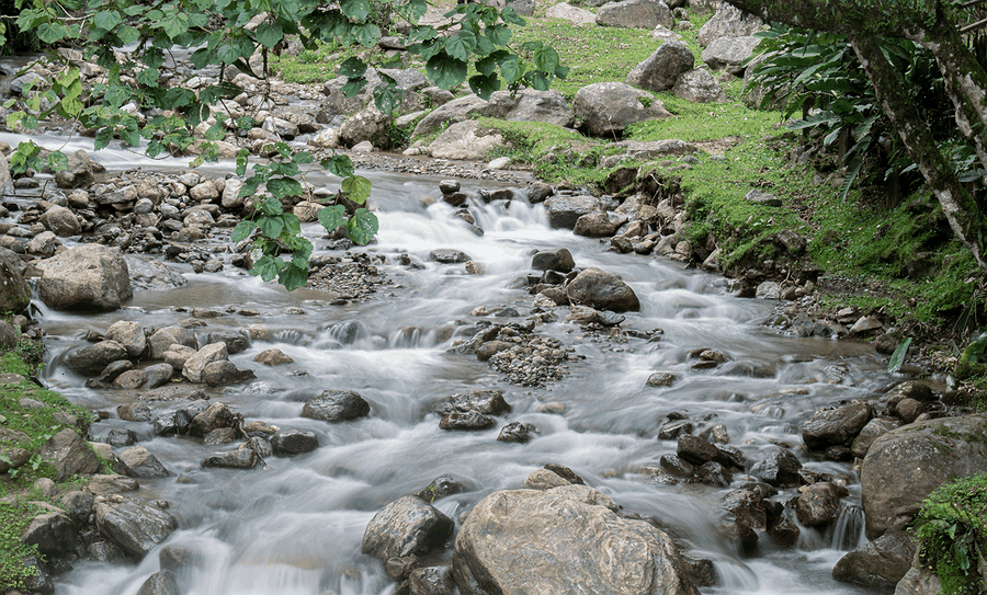 Team planning next steps for Subscription Billing & Recurring Payments Automation Platform