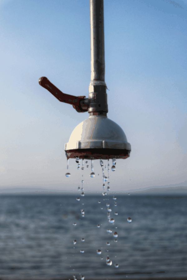 workflow optimization, cash flow modeling, interactive sessions, practical finance, process steps